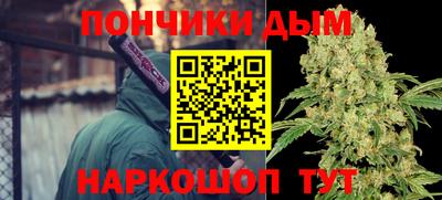 мет Можга