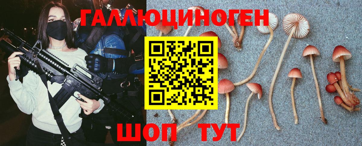 Галлюциногенные грибы GOLDEN TEACHER  Вход с VPN  Бор 